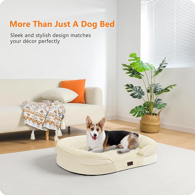 Dwanton Orthopedic Dog Bed for Medium Dogs - Image 2