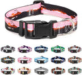 Mercano Adjustable Dog Collar by Unknown