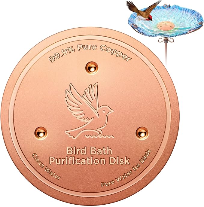 Bird Bath Copper Disk, Copper Disk by CollectHall