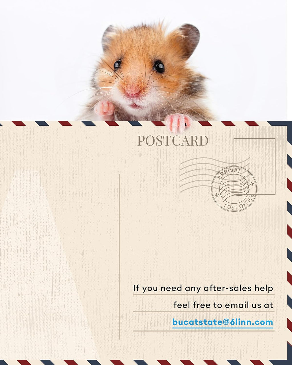 BUCATSTATE Hamster Cage 3.0, 39in, White - GlobalHabitat Supply