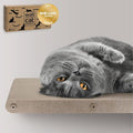 Wall Mounted Cat Perch Long Shelf by Pryde Pets by PrydePets