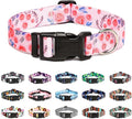Mercano Adjustable Dog Collar by Unknown