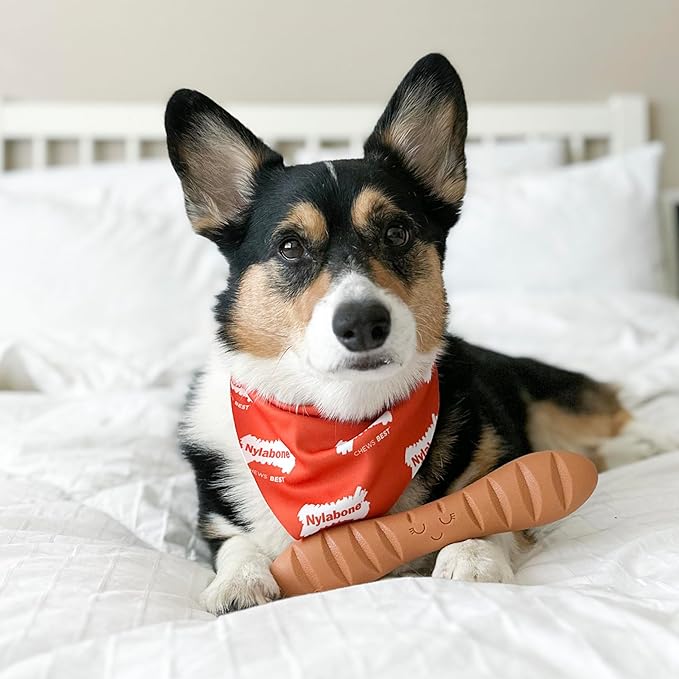 Nylabone Baguette Power Chew Toy - Image 2