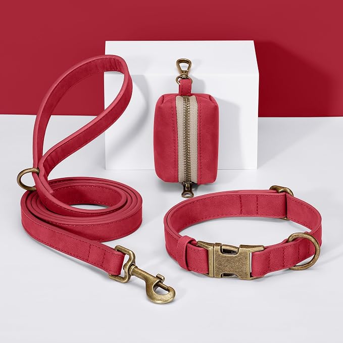 Didog Soft PU Leather Dog Collar, Stylish Quick Released Dog Collar - Image 5
