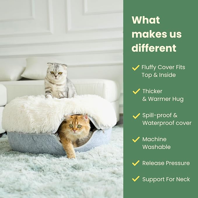 CATTASAURUS Peekaboo Cat Cave for Multiple & Large Cats Up to 30-45 Lbs - Image 2