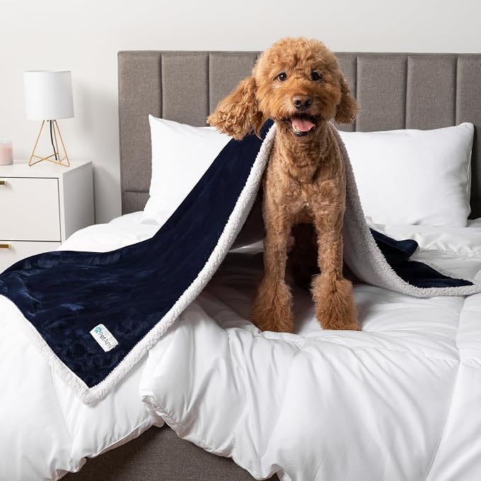PetAmi Waterproof Dog Blanket for Medium Large Dog Puppy Cat Throw for Couch - Image 8