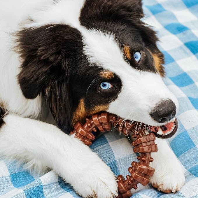 Nylabone Customer Favorites Power Chew Toy Bundle - Image 7