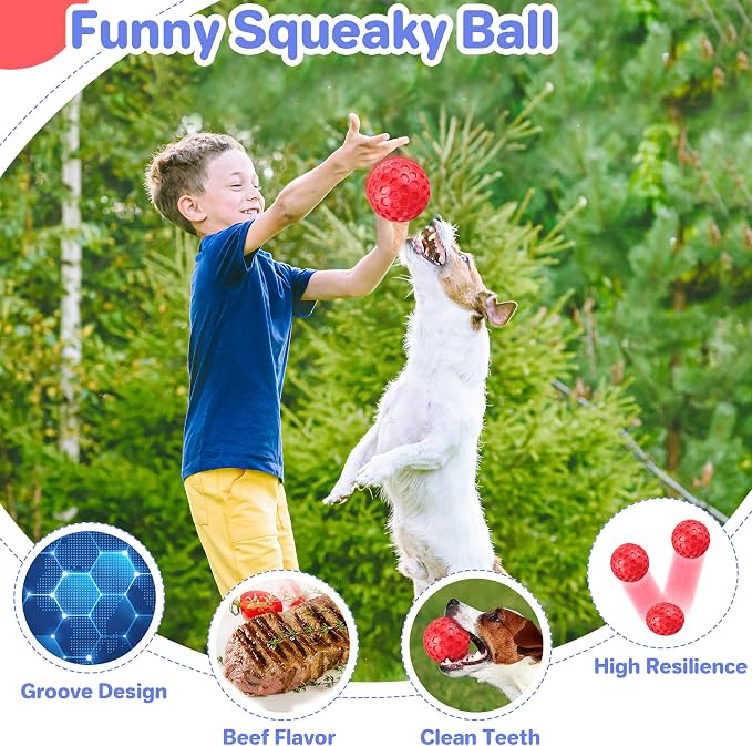 Indestructible Squeaky Dog Balls - Image 4