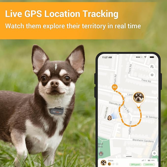 Pawfit Lite for Small Dogs 4g GPS Tracker | Real Time Tracking | Activity - Image 2