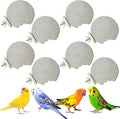 PINVNBY 8 PCS Bird Perch Parrot Beak Grinding Stone Calcium Mineral Parrot by PINVNBY