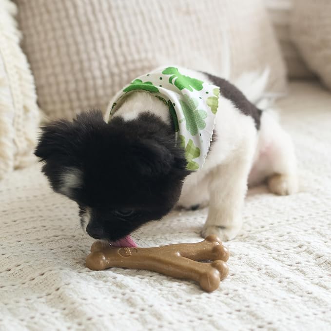 SPOT Bam-Bones Wishbone - Image 7