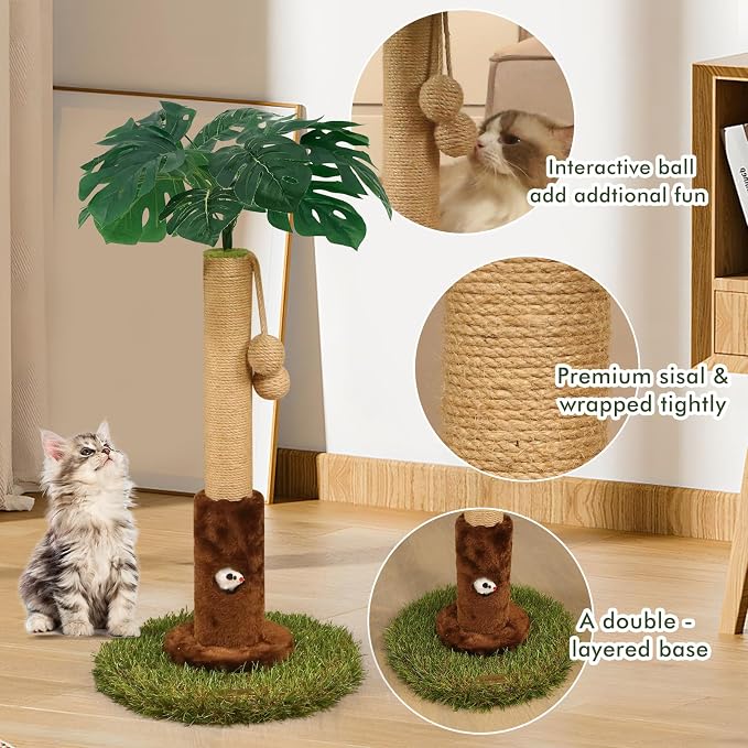 Cat Scratching Post for Indoor Cats and Kitten - Image 4