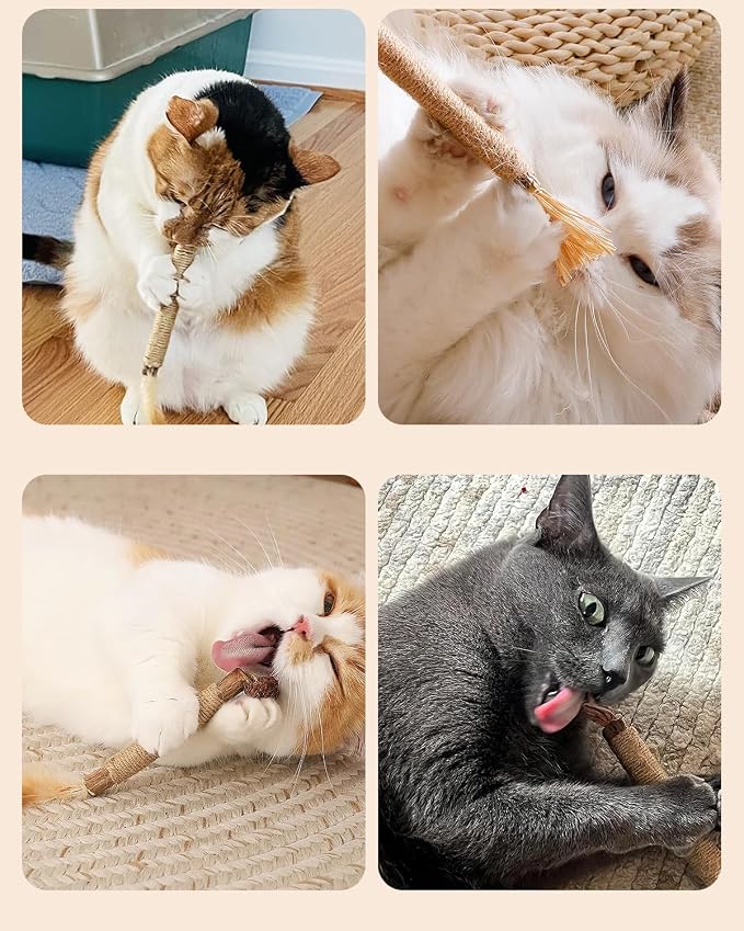 Tocirelo Kitten Chew Toys Teething - Image 6