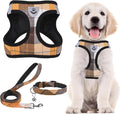 PUPTECK Adjustable Dog Harness Collar and Leash Set Step in No Pull Pet Harness by PUPTECK