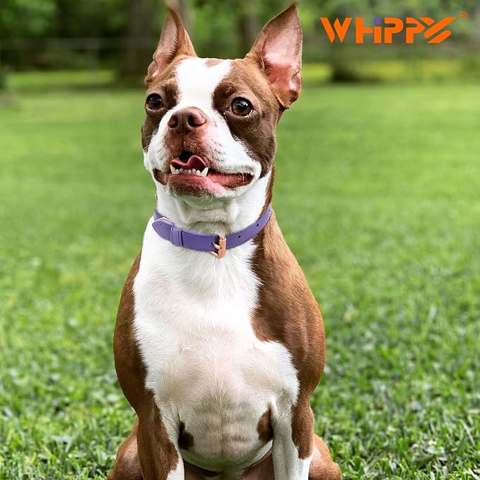 WHIPPY Leather Dog Collar for Small Medium Large Dog Adjustable Soft Breathable - Image 2