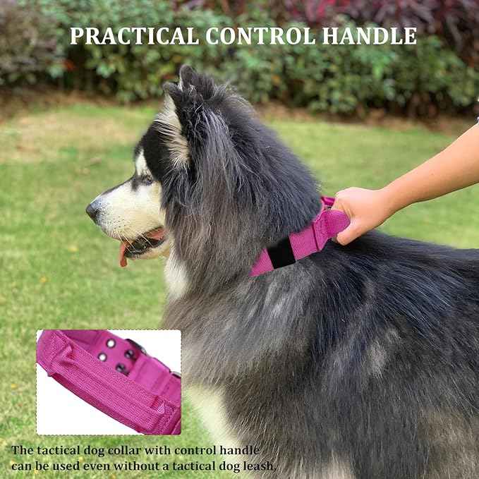 Tactical Dog Collar with Handle, Military Adjustable Heavy Duty Metal Buckle
