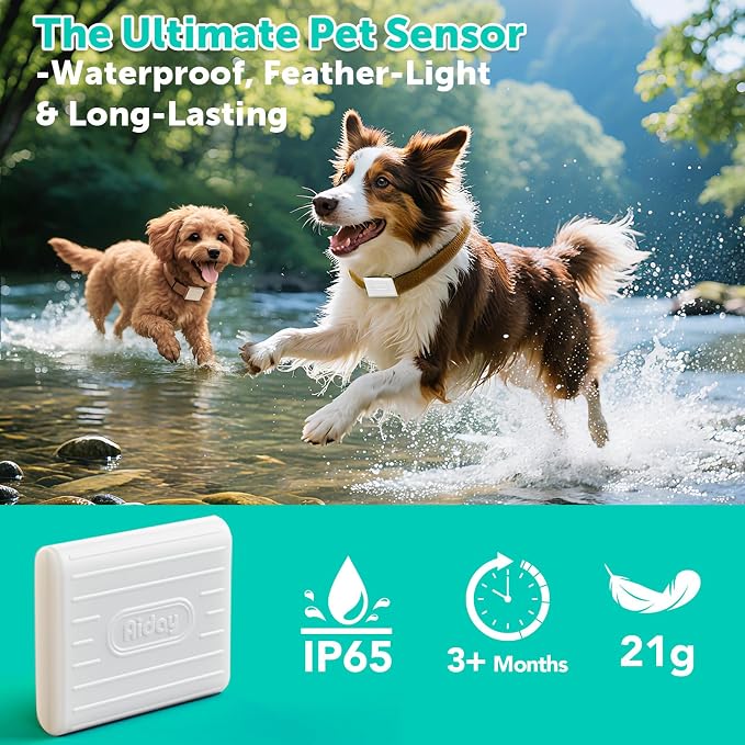 Automatic Sliding Glass Dog Door - Image 6