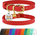 BRONZEDOG Leather Cat Collar by BRONZEDOG