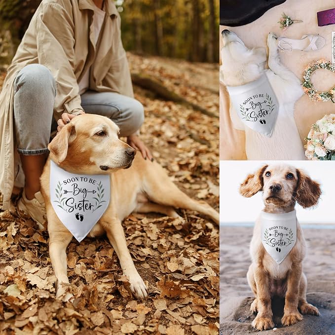 Soon to Be Big Sister Dog Bandana Baby Announcement Dog Gender Reveal Outfit - Image 6