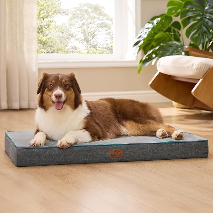 Bedsure Memory Foam Dog Beds Large Sized Dog by BEDSURE
