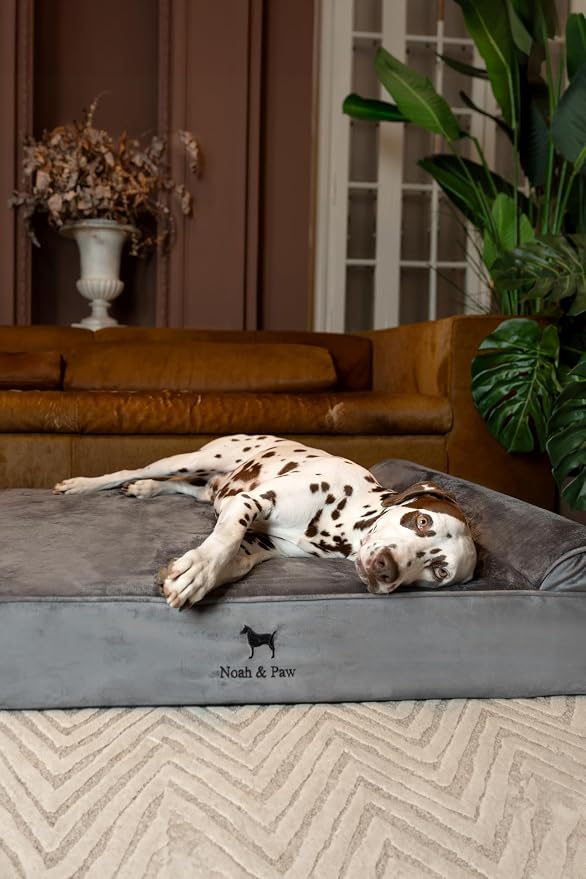 NOAH & PAW XL Dog Bed, Orthopedic Large Dog Beds, Eggshell Memory Foam Infused - Image 3