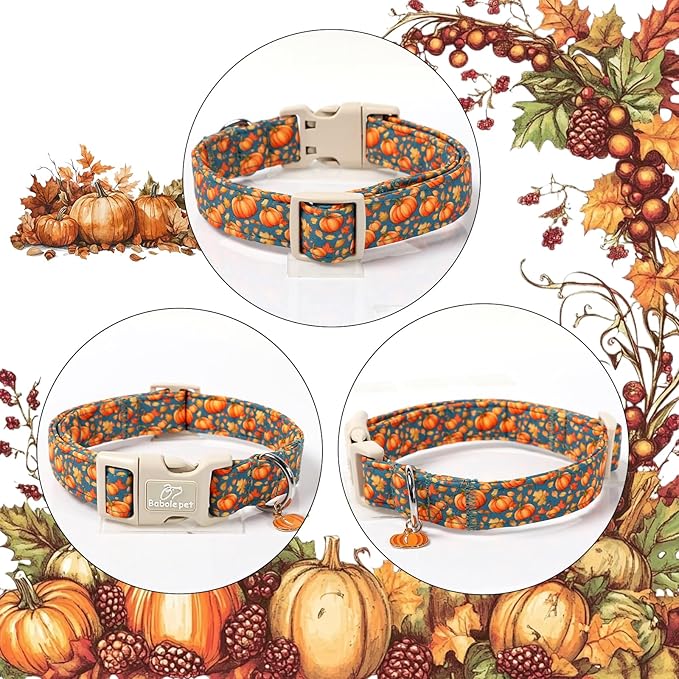 Fall Dog Collar Cute Autumn Pumpkin Puppy Collar - Image 6