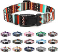 Mercano Adjustable Dog Collar by Unknown
