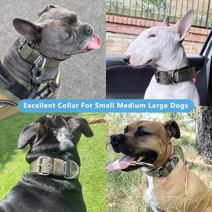 Heavy Duty Tactical Dog Collar - Image 2