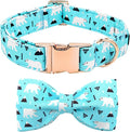 Dog Collar, Bow Dog Collar Blue Bear Pattern Pet Collar Dog Cute Bow Tie Soft by BoboRainbow