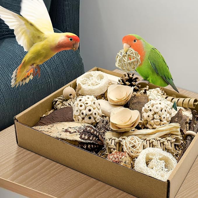 Natural Bird Toy Foraging Parrot Shredding Toys Box Conure Chewing Toys - Image 7