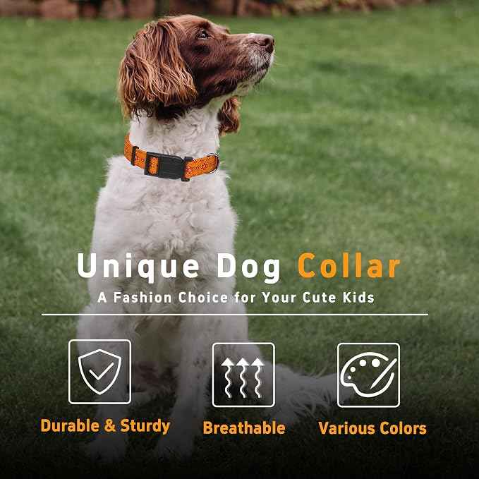Dog Collar, Classical Indian Spirit Boys Girls Puppy Collar