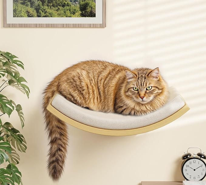 Cat Wall Shelves and Cats Window Perch – Natural Wood 4-Piece Set - Image 8