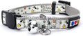 Pawtitas Glow in The Dark Cat Collar by Pawtitas