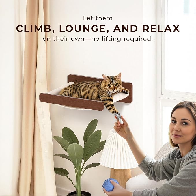 Cat Wall Hammock - Image 5