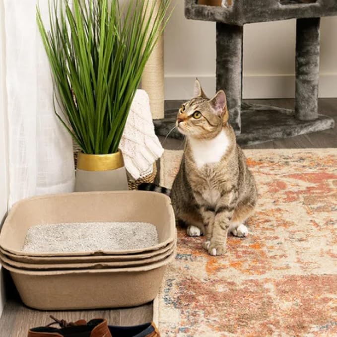 Kitty Sift Disposable Sifting Cat Litter Box Large, Durable and Portable - Image 8