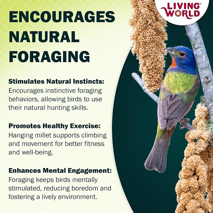 Living World - Millet Spray for Birds, 3.5 Oz – Premium Treat for Budgies - Image 6