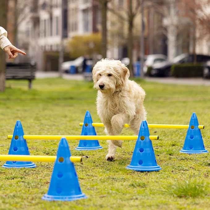 Navaris Dog Agility Equipment Set - Image 2