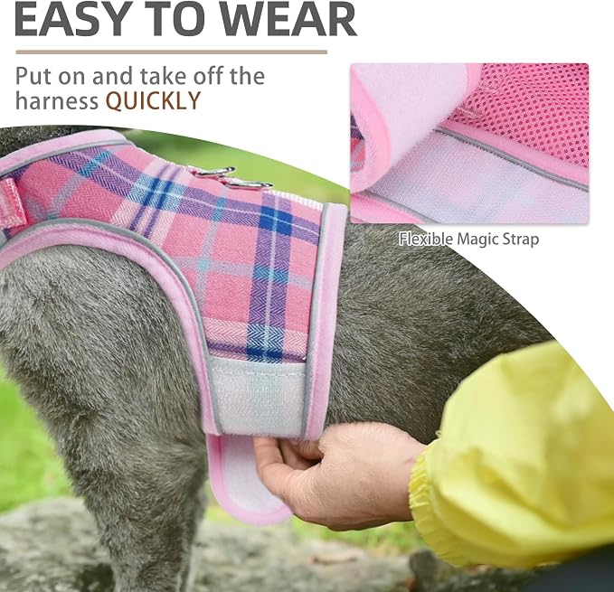 PUPTECK Soft Mesh Cat Vest Harness and Leash Set Puppy Padded Pet Harnesses - Image 5