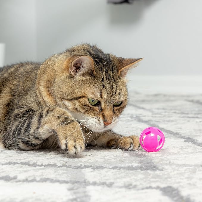 SPOT Slotted Balls Cat Toy - Image 2