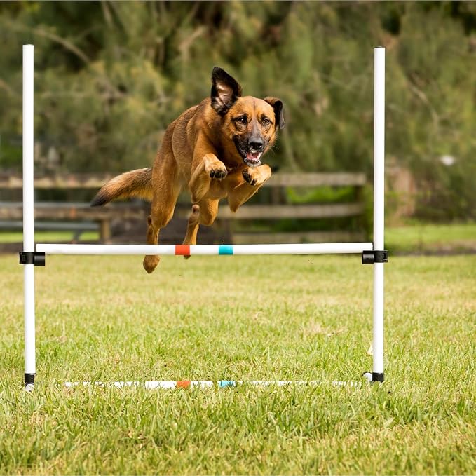 Midlee Dog Agility Bar Jumps- Set of 4 Jumps - Image 6