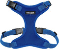 Voyager Step-in Pet Harness by BestPetSuppliesLLC