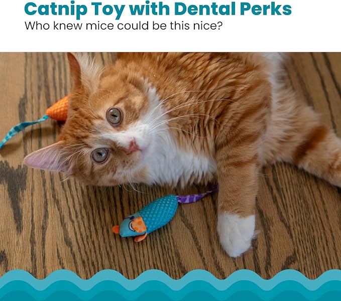 Catstages Catnip Chew Mice 2 Pack– Interactive Dental Cat Chew Toy that Helps - Image 2