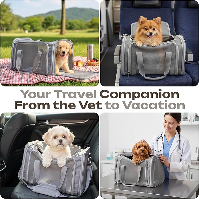 Pet Carrier for Cats, Guinea Pigs – Airline Approved Soft-Sided Travel Bag - Image 8