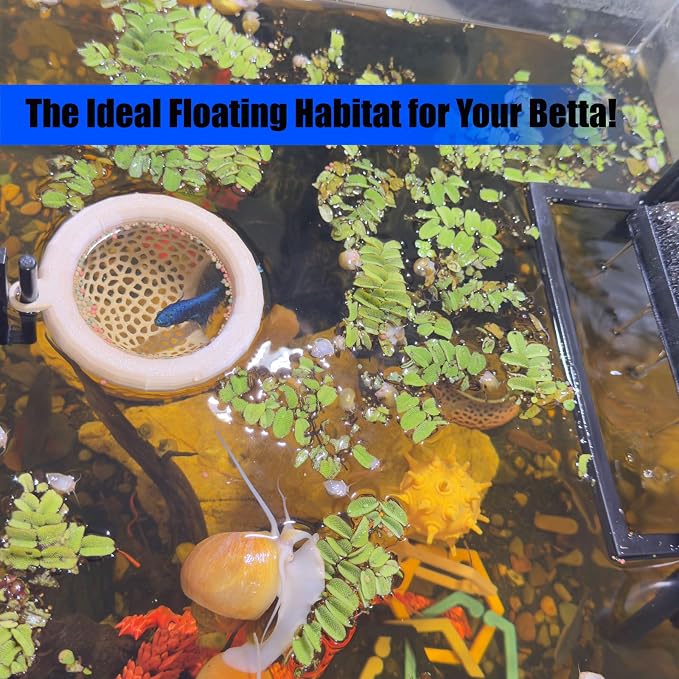 Fish Tank Floating Betta Hide，Betta or Shrimp Burrows and Hammock, Fish and - Image 5