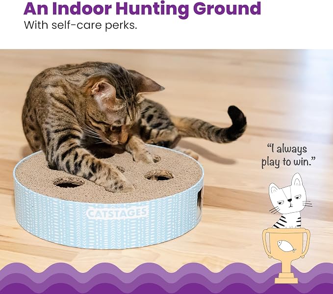 Catstages Scratch N' Hunt Interactive Cat Puzzle Toy - Image 2