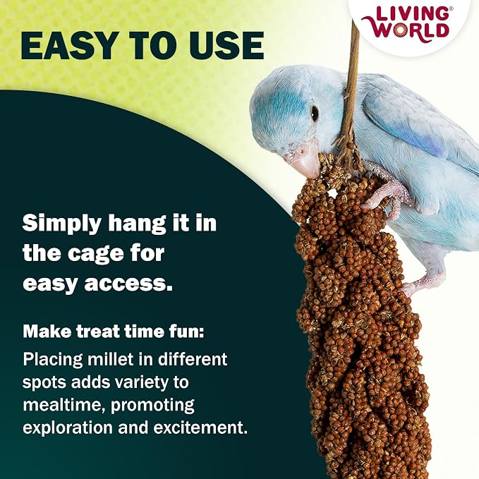 Living World – Millet Spray for Birds, 7 Oz – Premium Treat for Budgies - Image 5