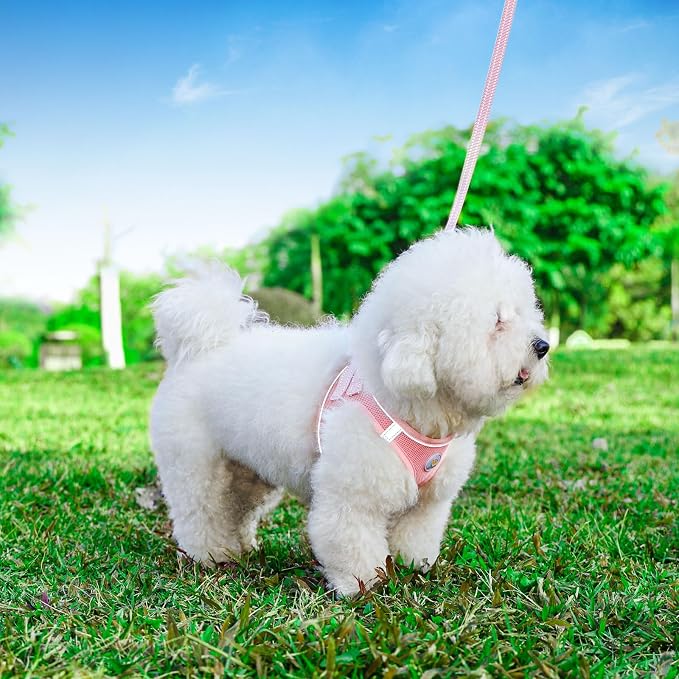 Hipubby Dog Harness and Leash Set, No Pull Soft Mesh Puppy Harness - Image 2