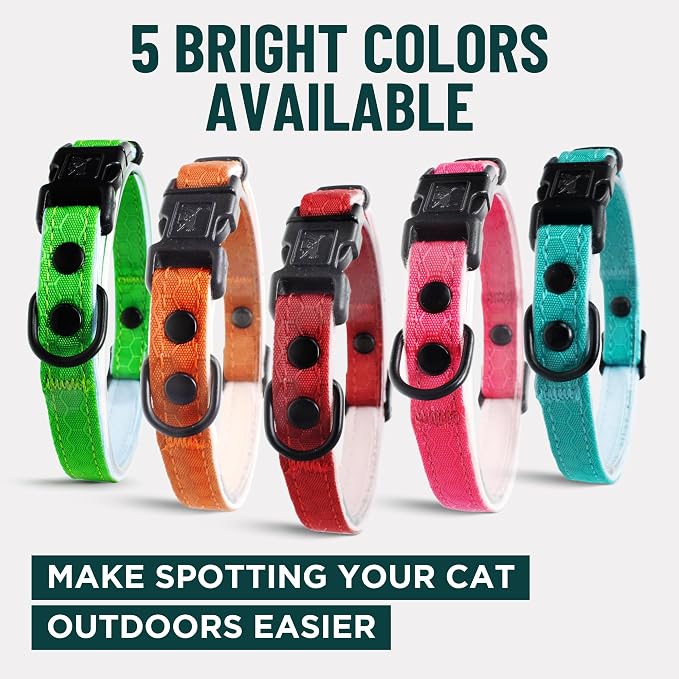 OutdoorBengal Green Breakaway Kitten Collar - Image 7