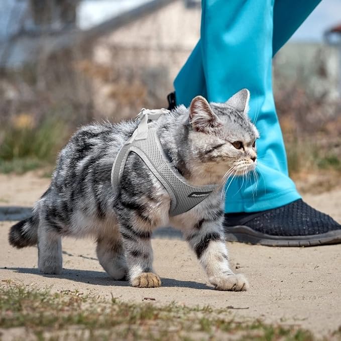 PetiFine Extra Small Step in Dog Harness and Leash Set, Cat Harness and Leash - Image 7