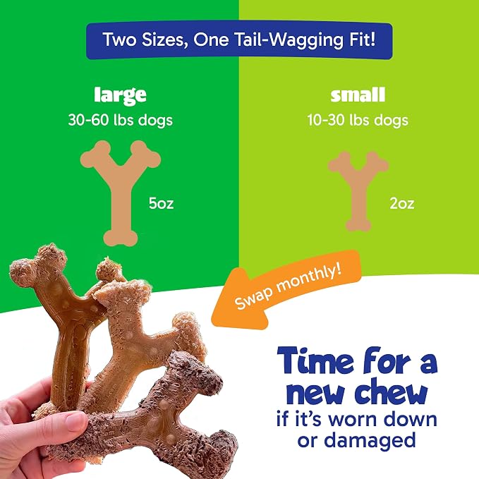 Chew'ems Durable Chewy Dog Toys | Long-Lasting & Flavorful Chew Dog Toys - Image 5